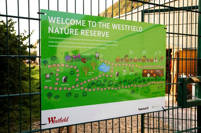 westfield stratford timberland