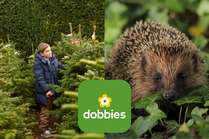 Dobbies marks ‘Bring your Christmas Tree Home’ Day