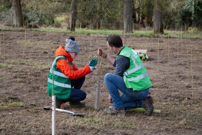 Dobbies partner with The Tree Council as a Jubilee Partner
