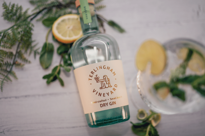 Ethical wine producer diversifies with launch of limited-edition vintage-led gin
