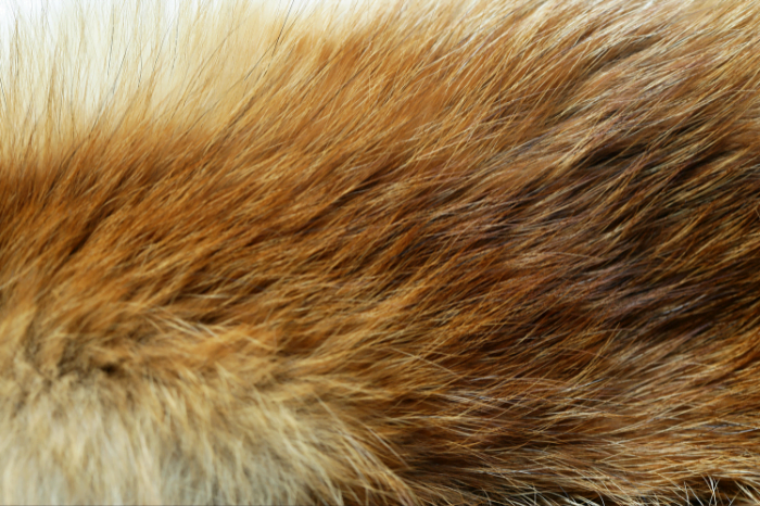Frasers Group commits to “future without fur”