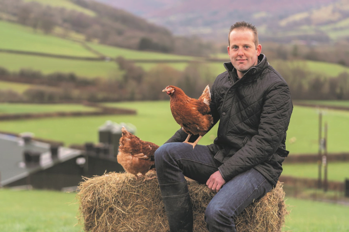 Lidl to only sell 100% RSPCA assured free range eggs by 2024