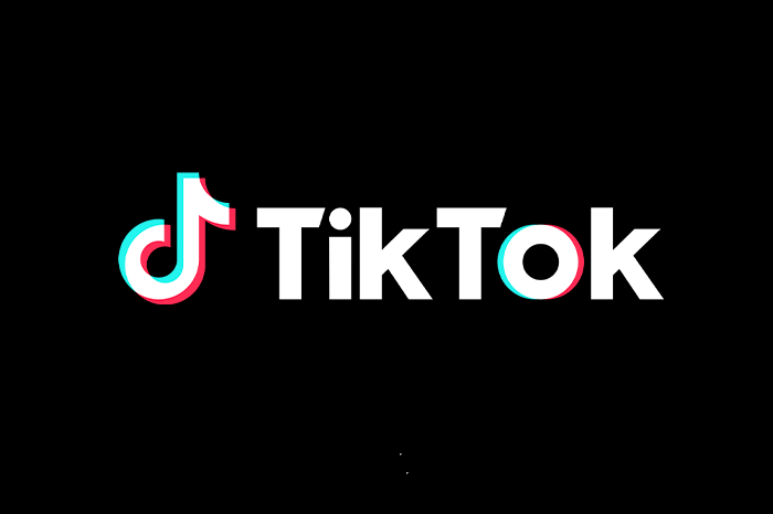 TikTok’s UK shop launches pets category
