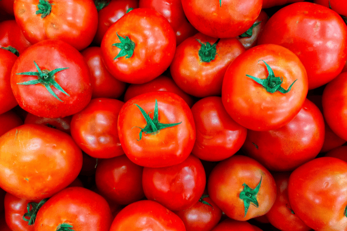Tomato shortage hits supermarkets after poor weather across Europe and Africa