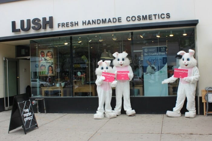 Lush celebrates cosmetics animal testing ban in Canada