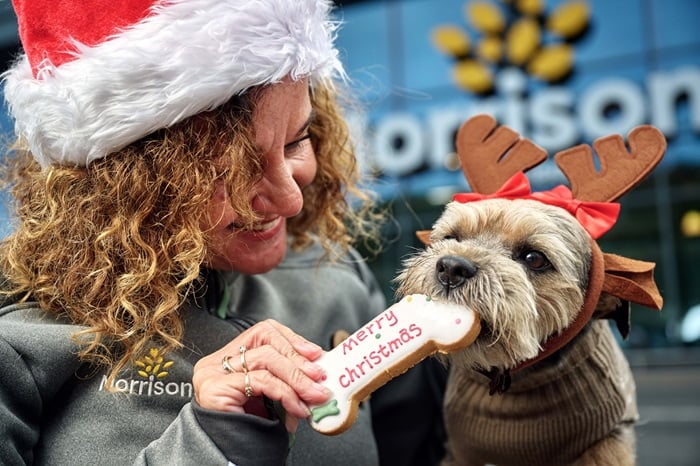 Morrisons unveils biggest supermarket festive pet range