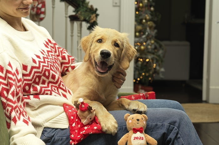 Pets at Home posts higher sales ahead of Christmas