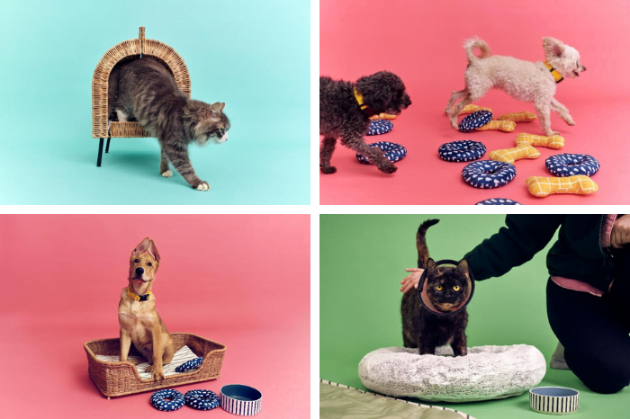 IKEA creates Cat-alogue and Dog-alogue to help animals find their fur-ever home