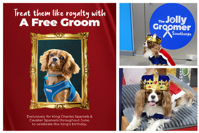 Jollyes offers free spaniel grooming for Royal Birthday