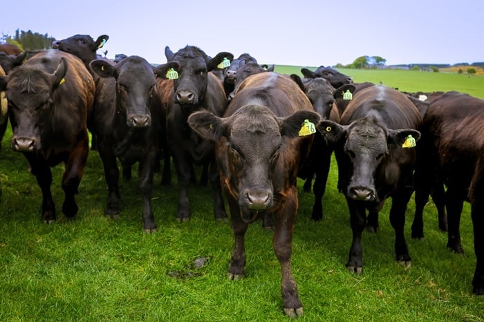 Tesco invests £1.5m in environmental data baselining to support UK farming
