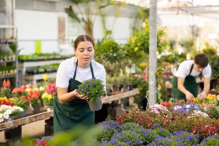 BRC urges government to back Saturday jobs as a vital first step into work